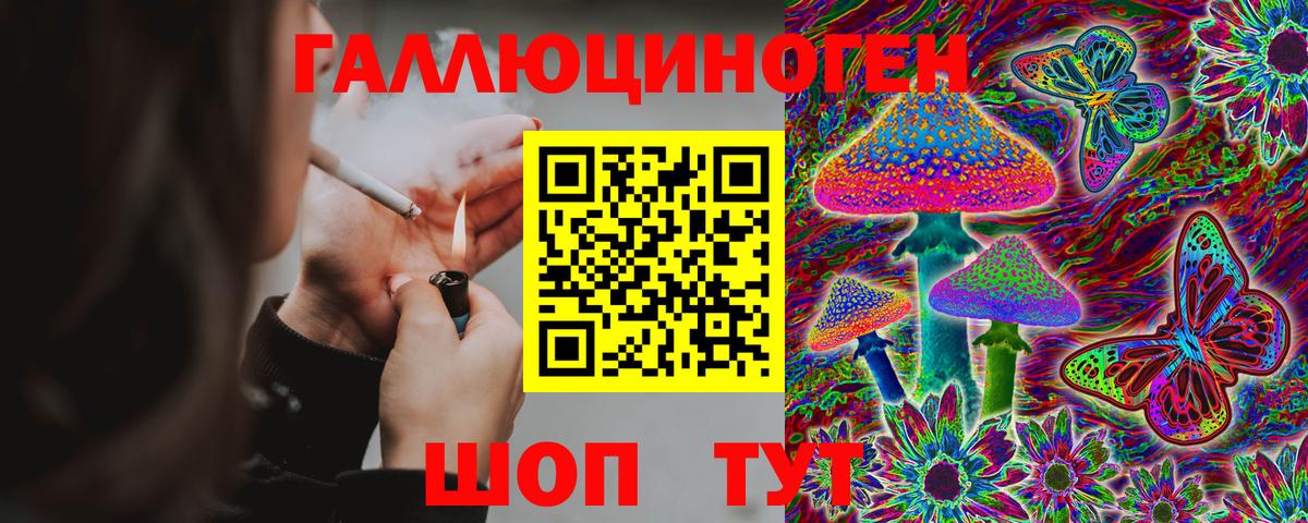 Галлюциногенные грибы GOLDEN TEACHER Гулькевичи