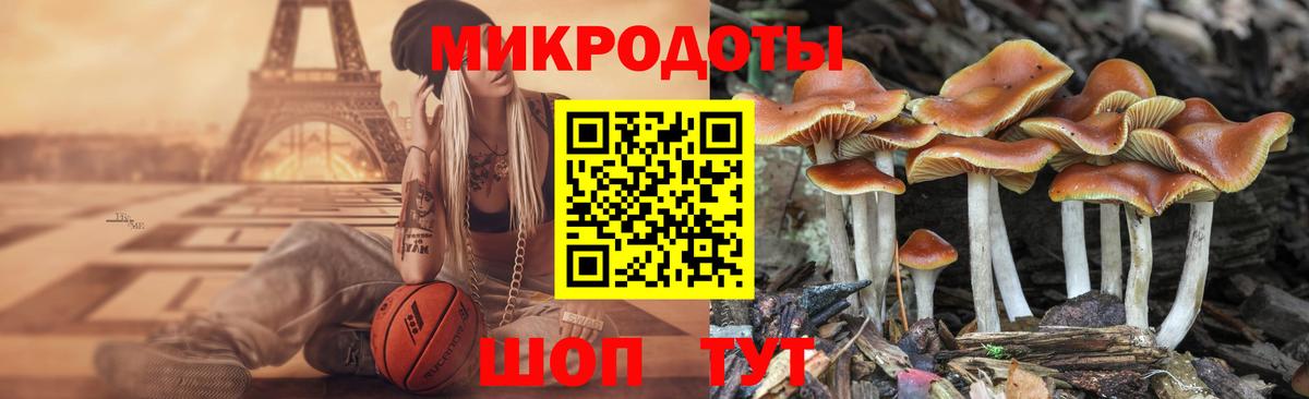 Гулькевичи  купить наркоту  Вход с VPN  Псилоцибиновые грибы MAGIC MUSHROOMS 